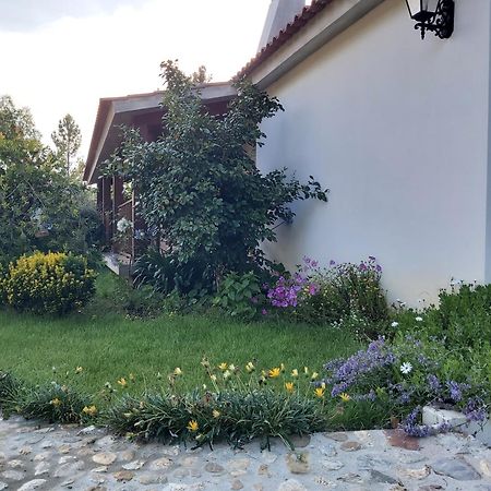 Вилла Casa Vale Nicolau Арганил Номер фото